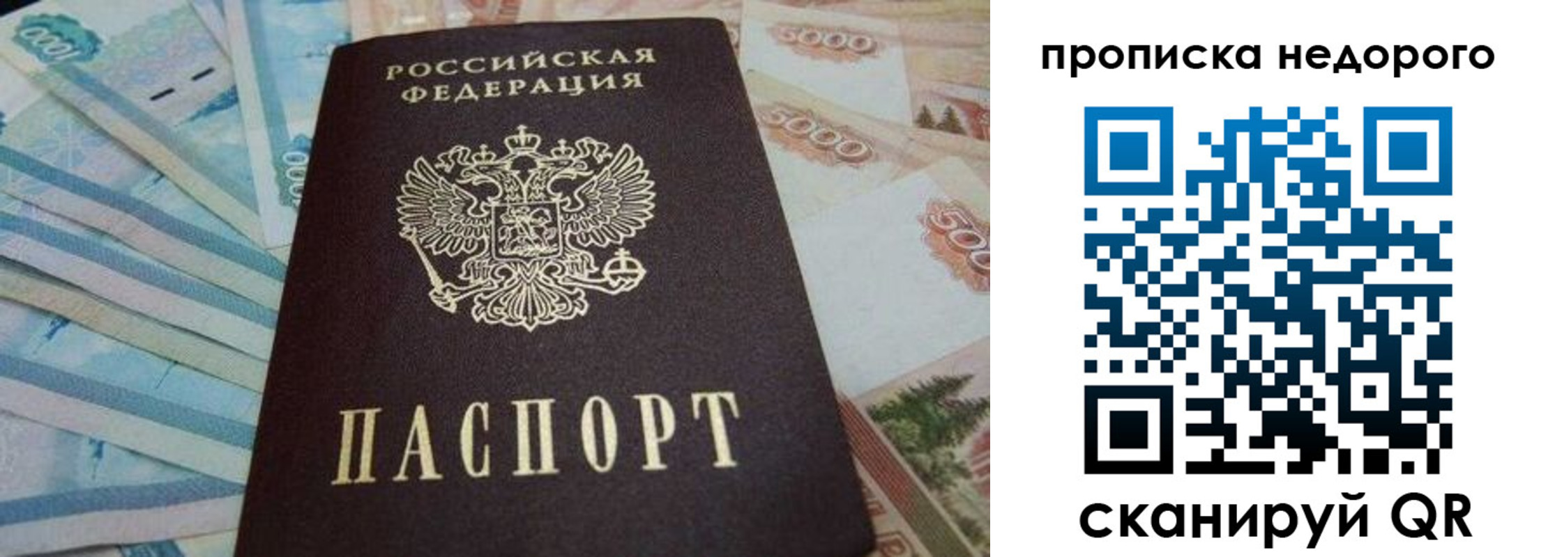 временная регистрация поиск в Павловском Посаде